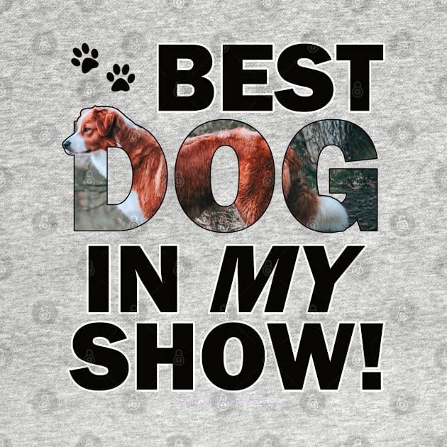 Best dog in my show - brown and white collie dog oil painting word art by DawnDesignsWordArt